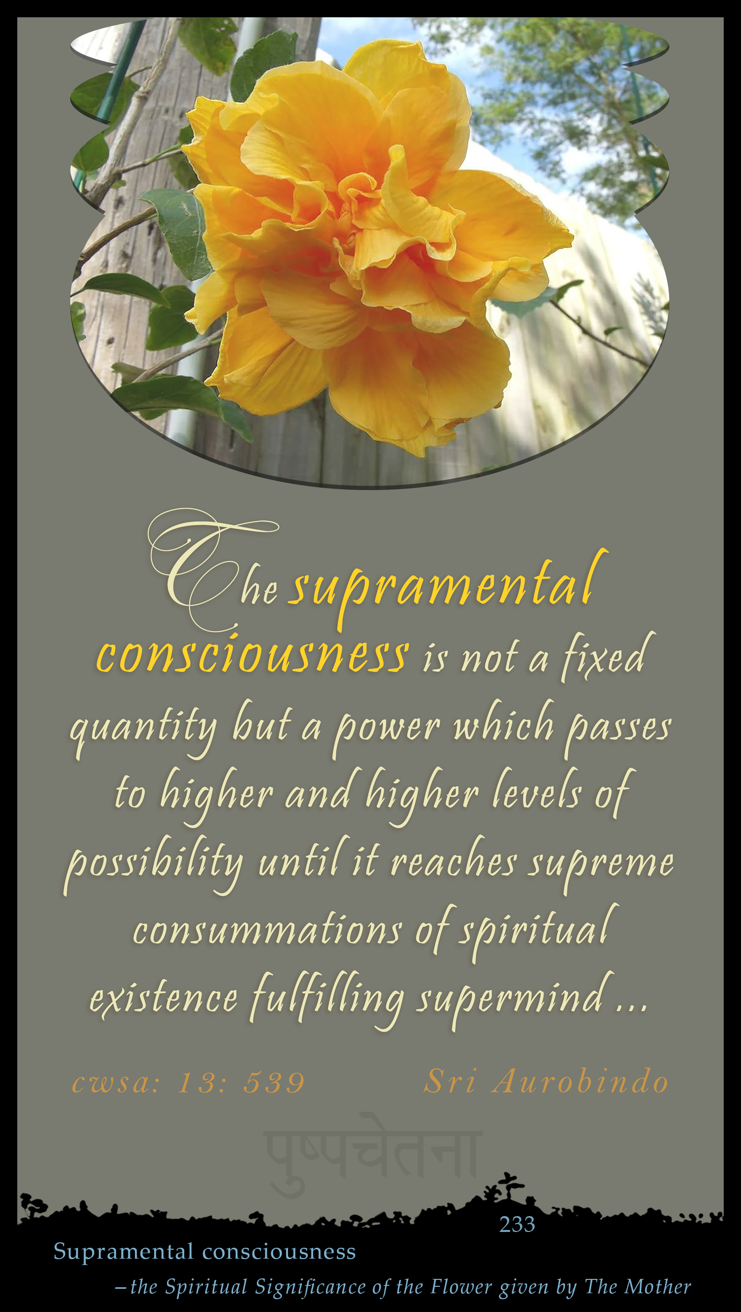 Supramental Consciousness
